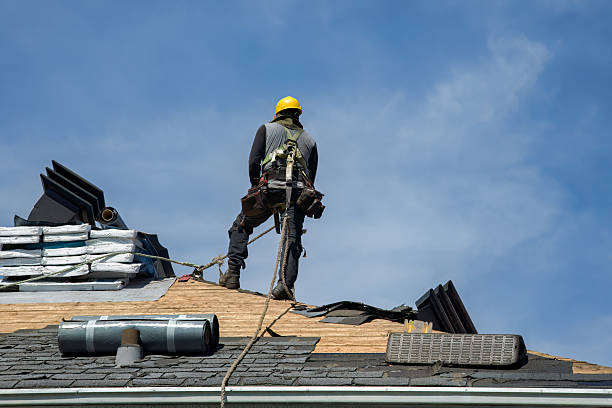 Professional Roofing technician working in Molina, CO